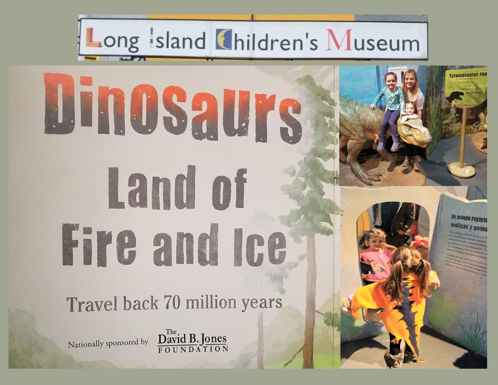 Dinosaur Fun At The Long Island Children S Museum